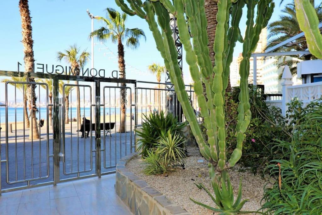 Luxurious 2-Bedroom Apt With Stunning Views, 1St Line On Levante Beach, Benidorm Exterior foto